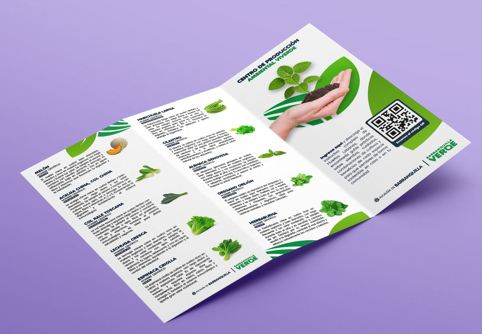 Folleto Huertos Urbanos 2 - Guía de agricultura urbana