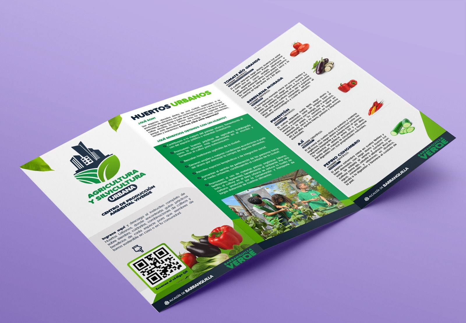 Folleto Huertos Urbanos 1 - Guía de agricultura urbana