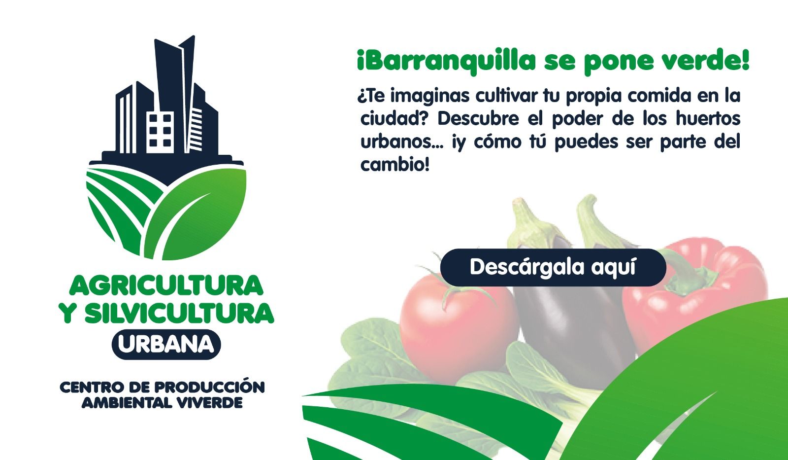 Huertos Urbanos de Barranquilla Verde - Proyectos de agricultura urbana sostenible
