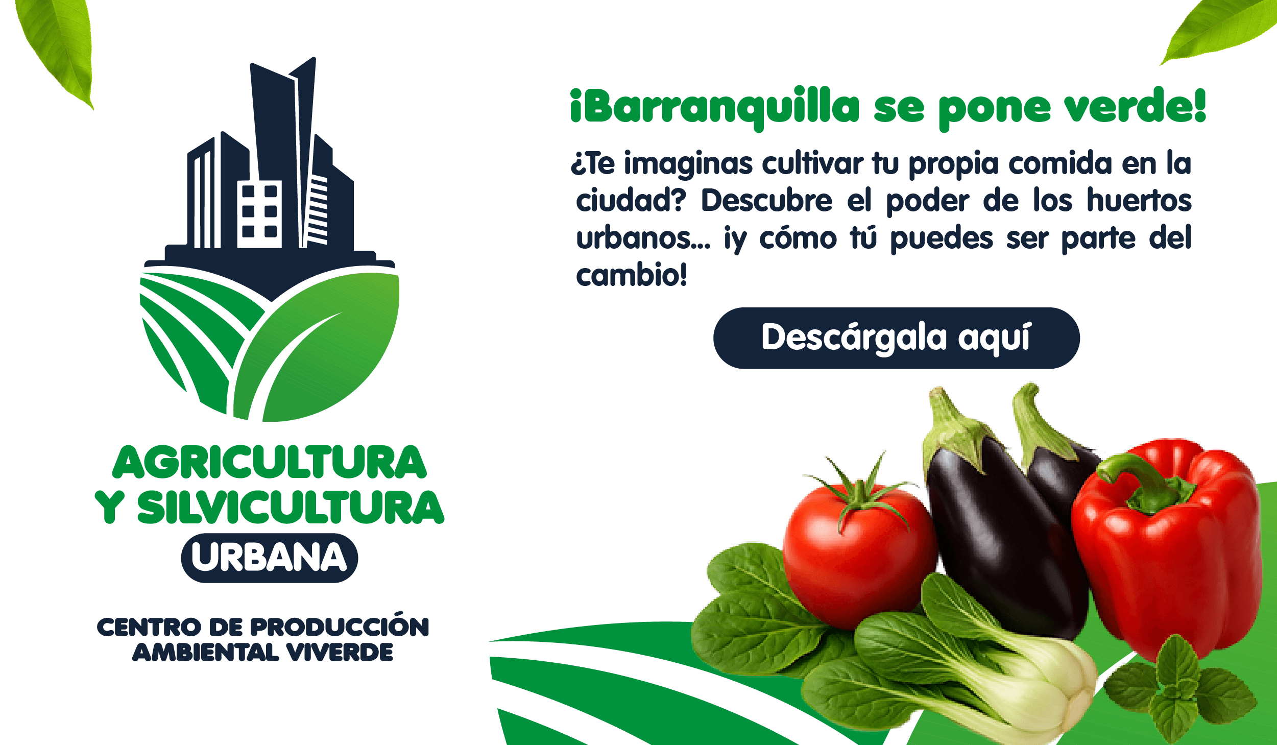 Huertos Urbanos de Barranquilla Verde - Proyectos de agricultura urbana sostenible